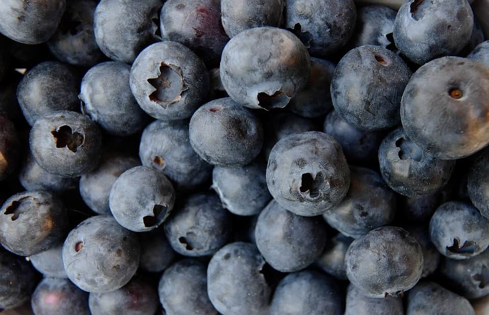 blueberries