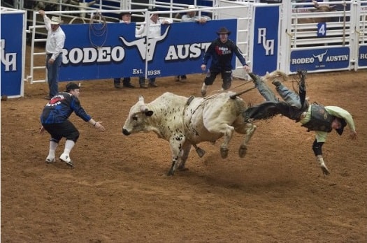 bull-riding
