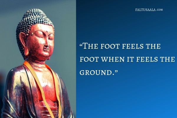 buddha-quotes